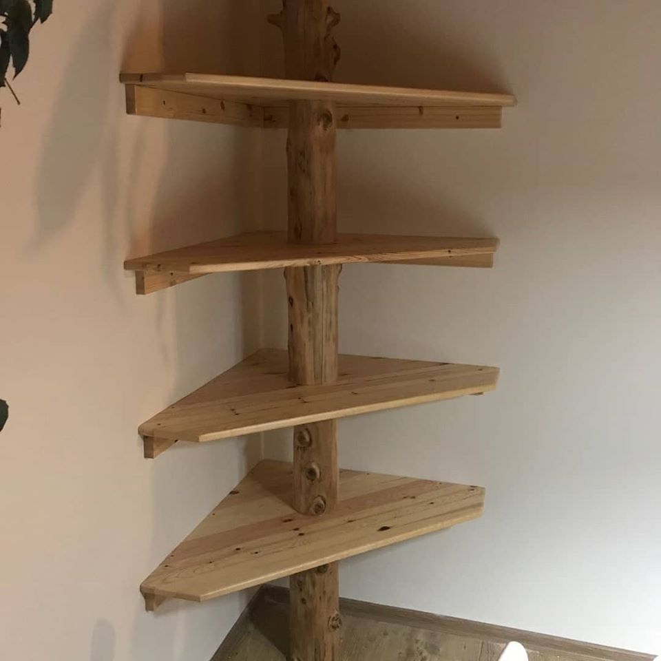 Knihovna z kmene stromu